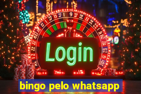 bingo pelo whatsapp